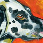 Dalmatian